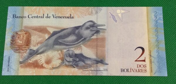 2 BOLIVARES VENEZUELA GB30 - Image 2