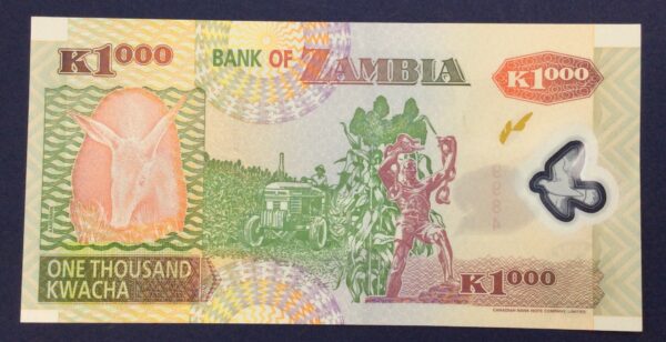Zambia 1000 Kwacha 2005 GB703 - Image 2