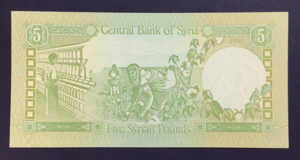 Syria 5 Pounds 1312 (1991) GB774 - Image 2