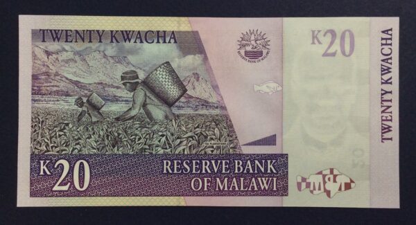 Malawi 20 Kwacha 2006 UNC GB850 - Image 2