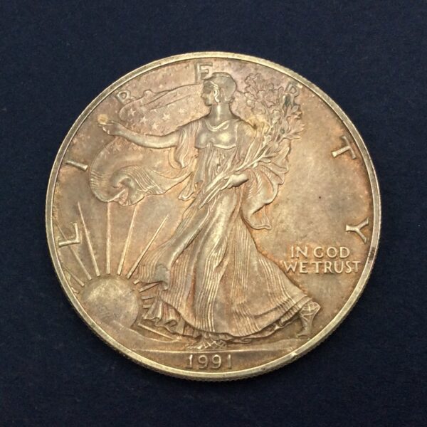 USA 1 Dollar 1991 Silver Coin GC561