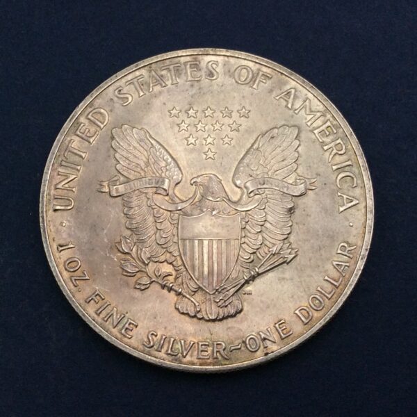 USA 1 Dollar 1991 Silver Coin GC561 - Image 2