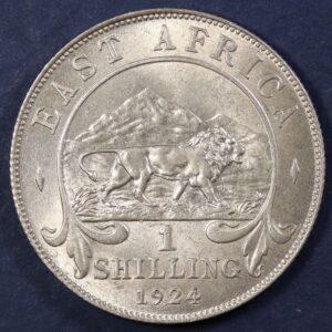 1 SHILLING 1924 SILVER SOUTH AFRICA GC1152