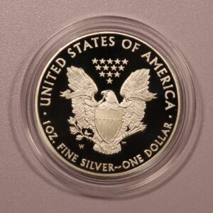 Alternative view of 2008 American Eagle 1oz Proof Coin
