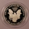 American Eagle 2010 1oz Silver Proof Coin - Image 2
