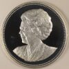 50 JAAR GULDEN 1995 PROOF SILVER GC1243 - Image 2
